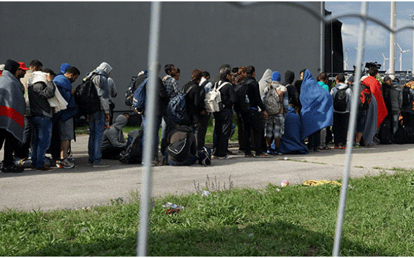 {{brizy_dc_image_alt entityId=